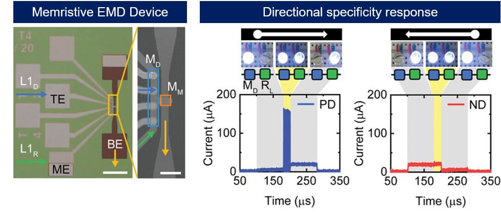 Figure 5. Directional specificity response based on the signal transmission direction