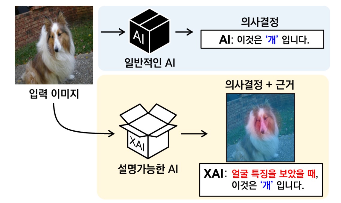 그림 1. 설명 가능한 인공지능 (XAI)의 개념도