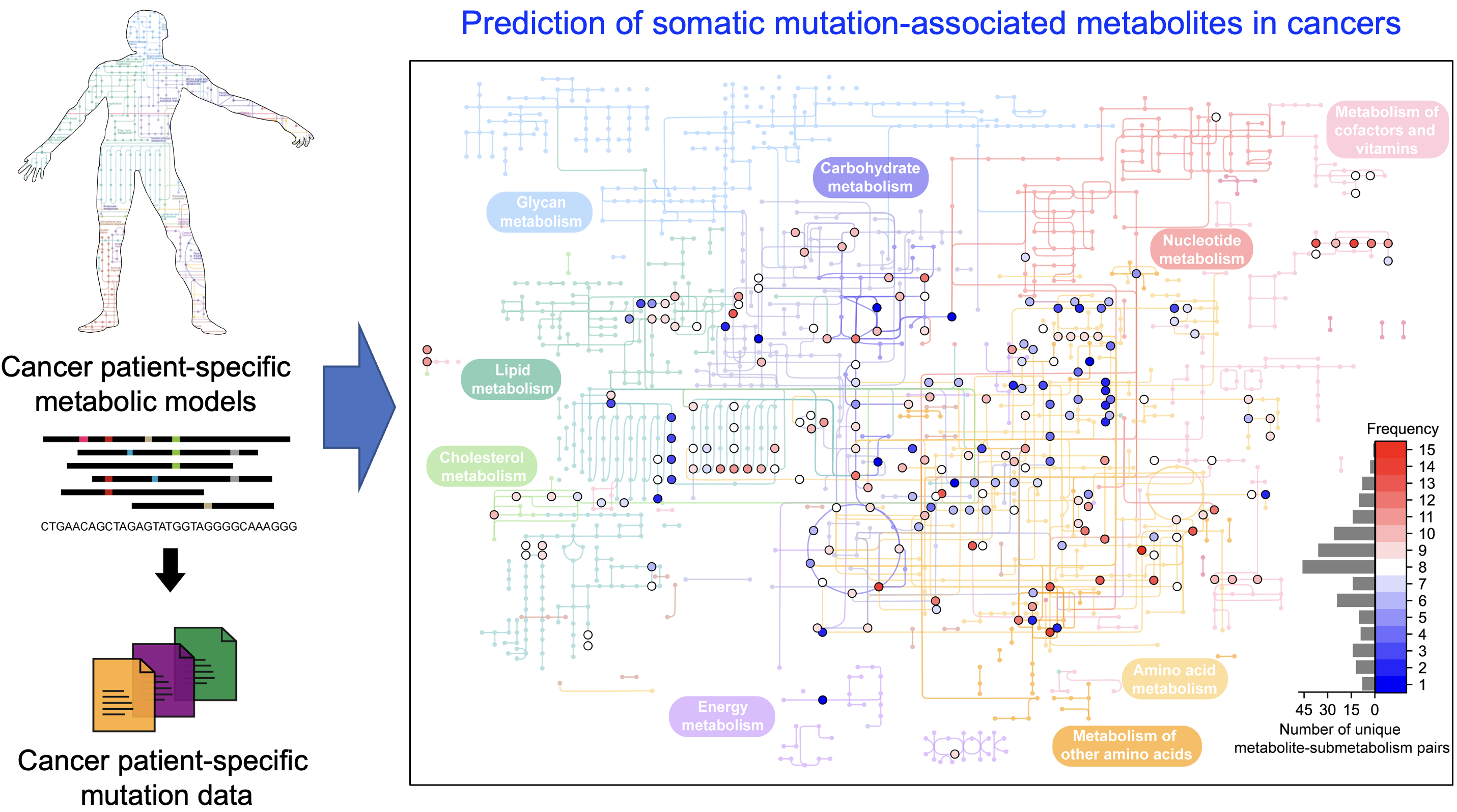 Schematic diagram of a computational methodology for predicting metabolites and metabolic pathways associated with cancer somatic mutations.