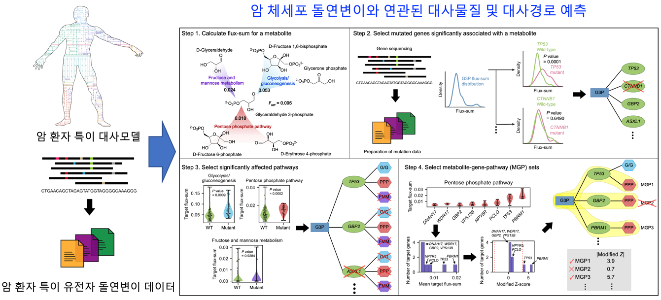 암 체세포 돌연변이와 연관된 대사물질 및 대사경로를 예측하는 컴퓨터 방법론 모식도