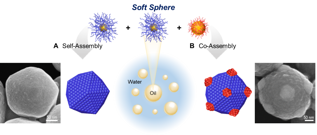 Figure 1. An emulsion technique was employed to shape A the self-assembly of soft spheres and B the co-assembly of soft spheres with immiscible nanoparticles to construct icosahedral structures. (Reproduced from Sci. Adv. 2024, 10, eado0745 DOI: 10.1126/sciadv.ado0745 (2024)