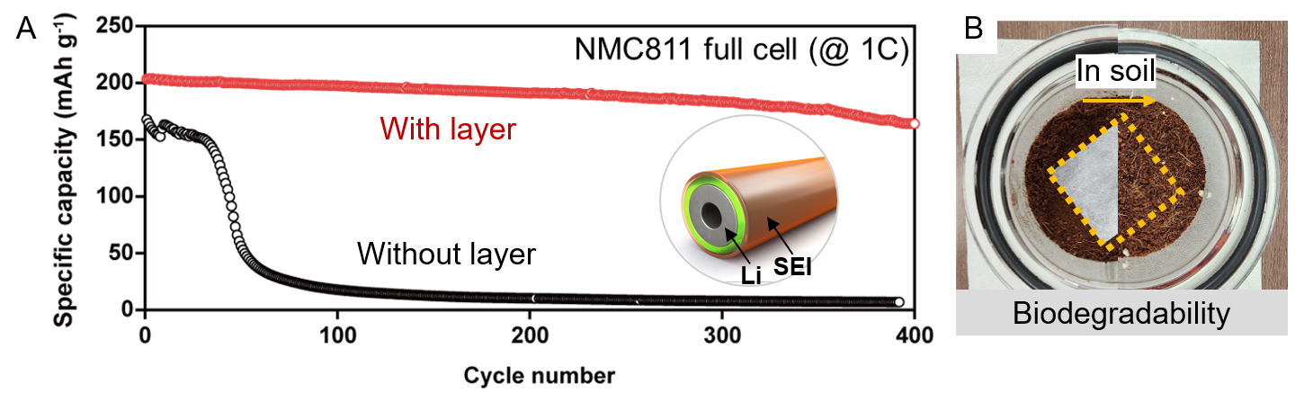 Figure 2. (A) Performance of Li-NMC full cells full cells with lithium metal protective layer. (B) Excellent decomposition rate of lithium metal protective layer